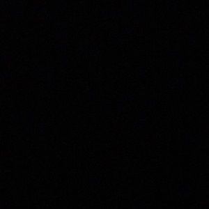 Meet your Posher, Justin Charter